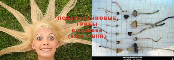марихуана Арсеньев